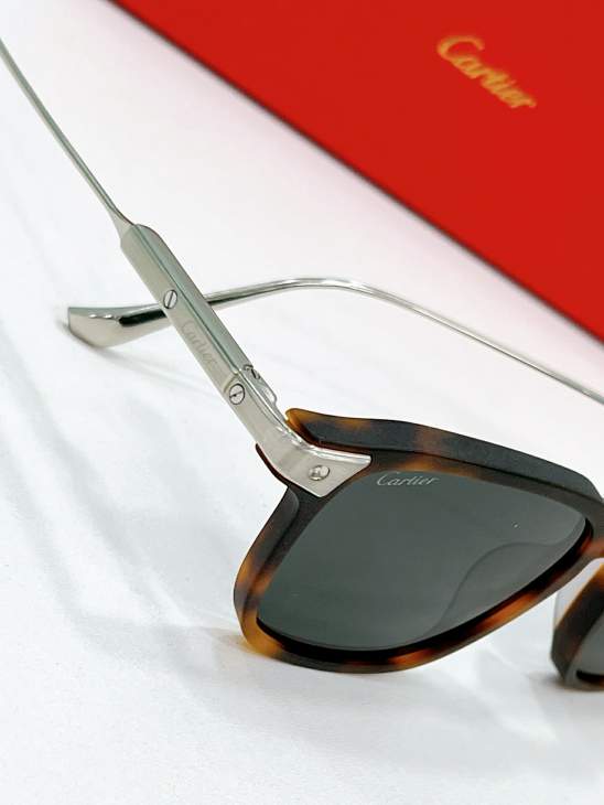 Picture of Cartier Sunglasses _SKUfw77796611fw